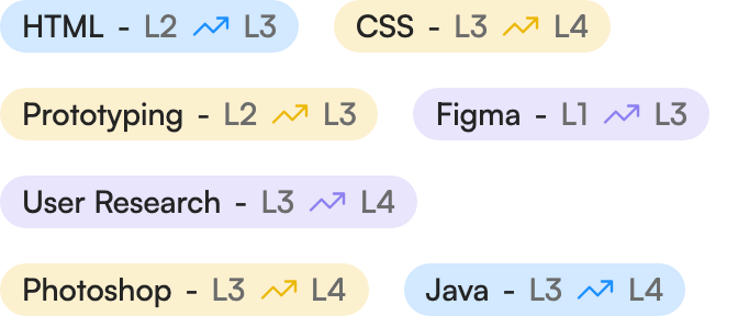 Skill chips such as HTML, CSS and Figma showing level progression